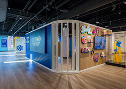 Museum Museum Exhibit