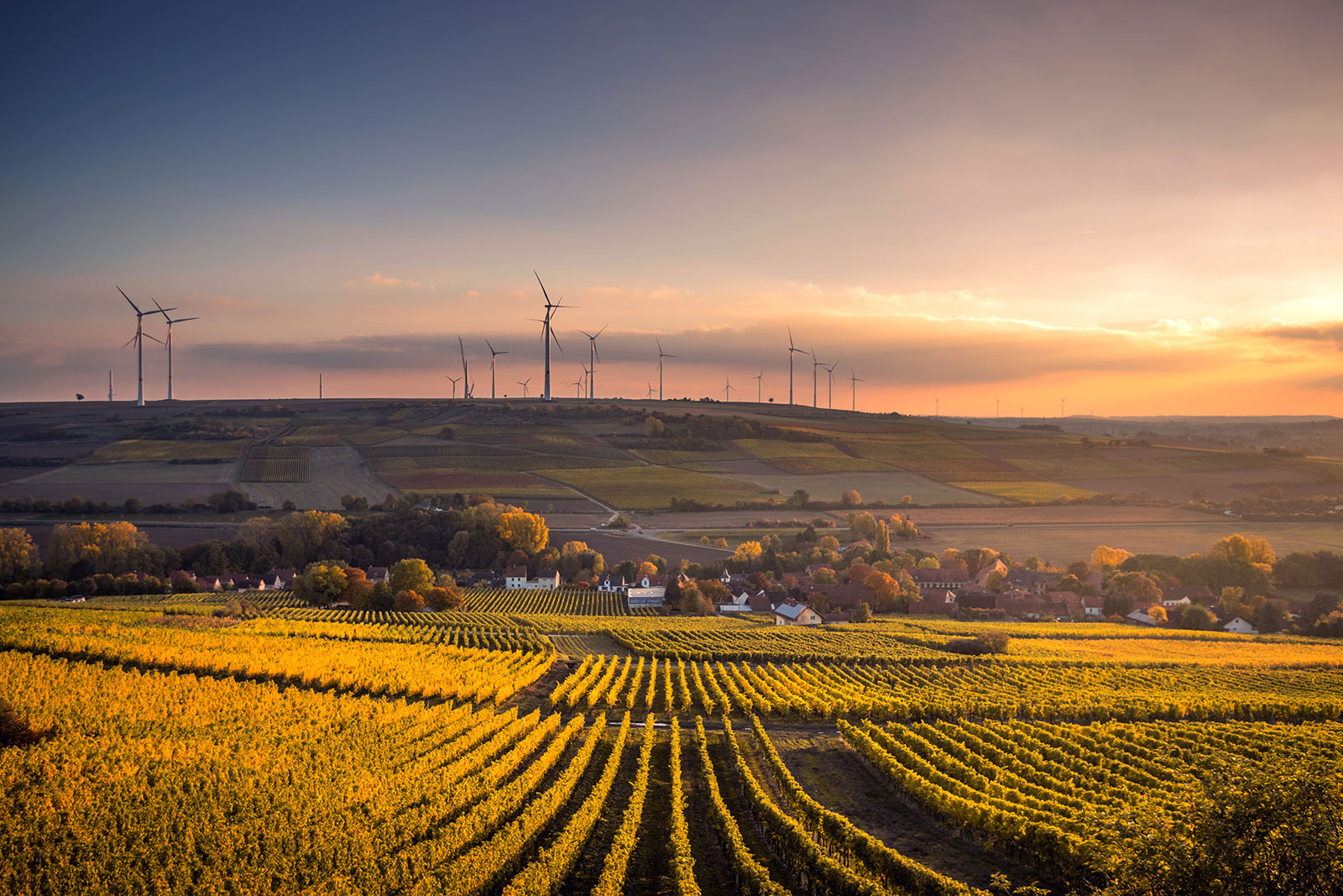 A photo of landscape with fields in the foreground and wind farm in the horizon.